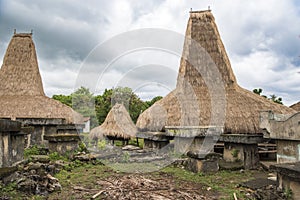 Typical houses with tall roofs, Kodi, Sumba Island, Nusa Tenggara photo